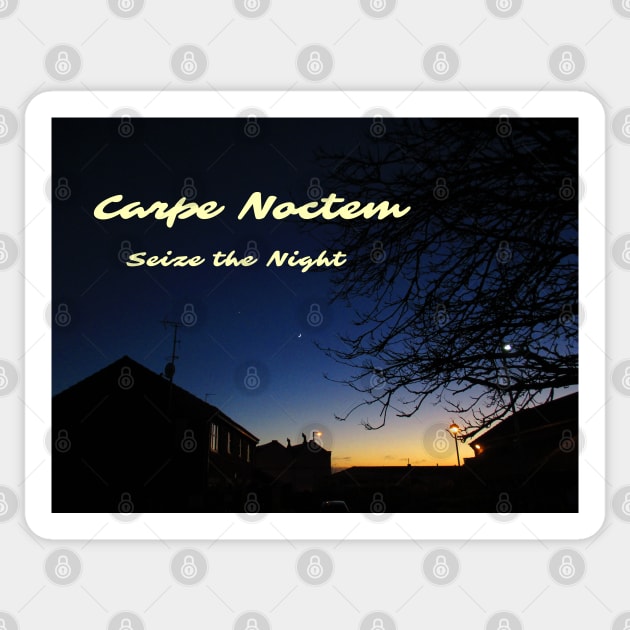 Carpe Noctem - Seize The Night (YOLO) Sticker by soitwouldseem